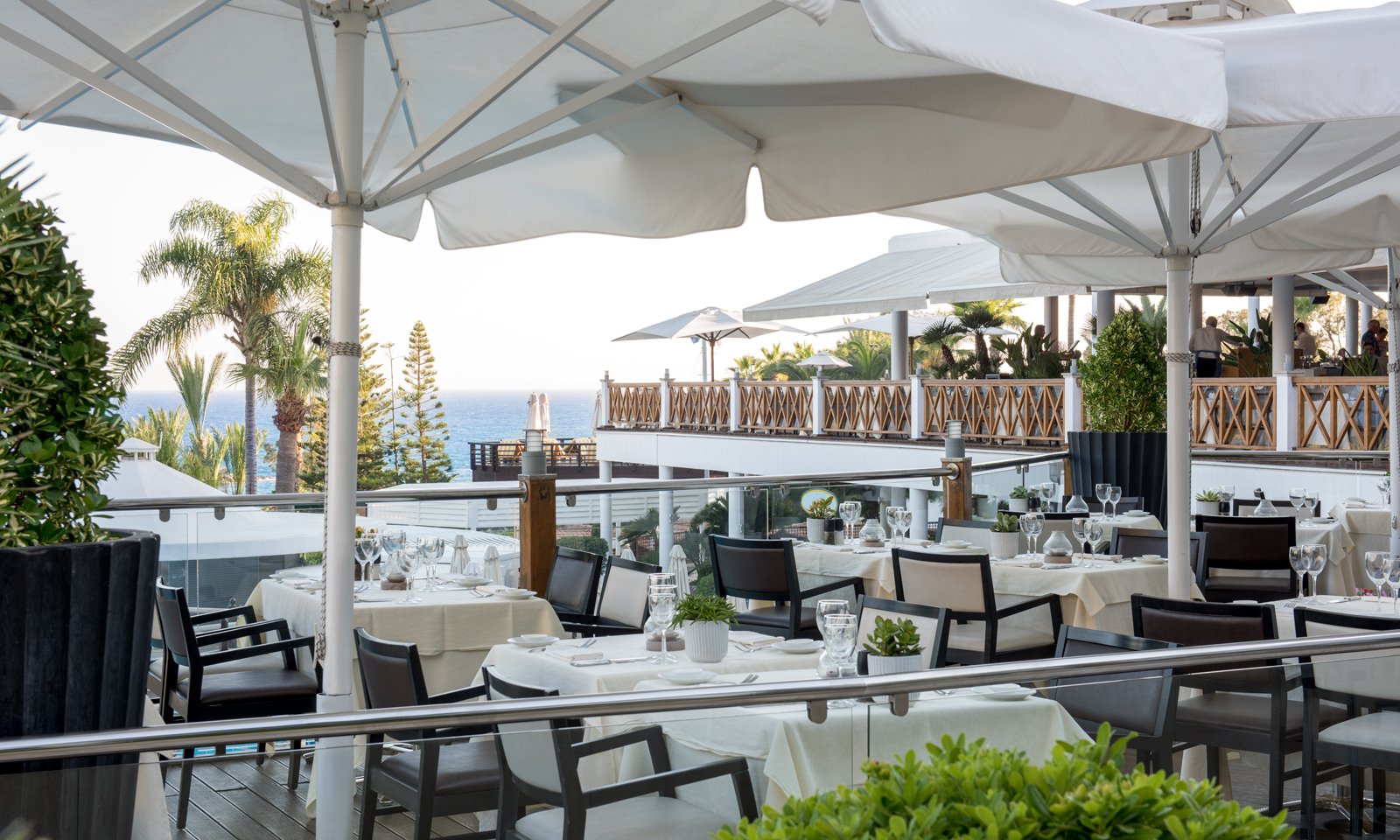 Top Restaurants In Limol Mediterranean Beach Hotel Il Tinello